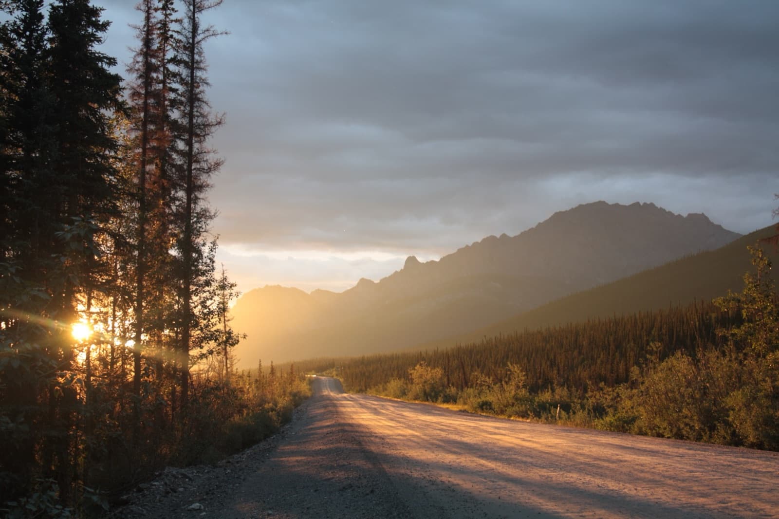 Low sun breaking through spruce over the gravel Dalton Highway beneath a mountain ridge