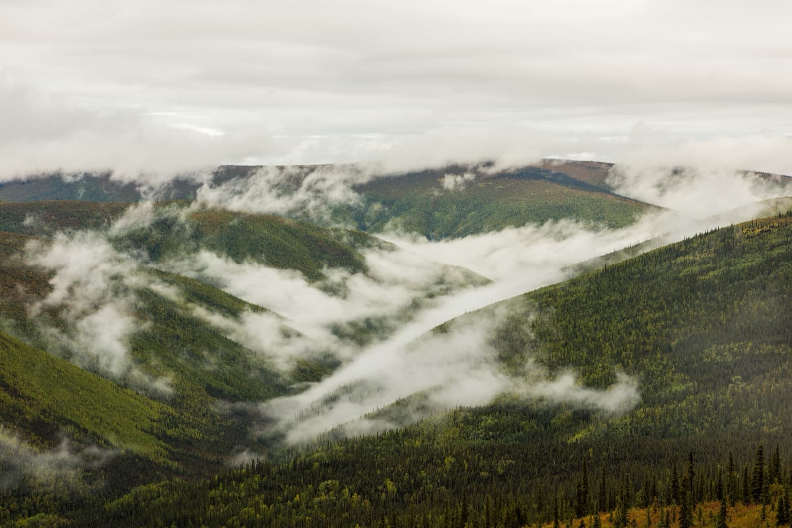Low cloud threading forested valleys below the Top of the World Highway in the Yukon